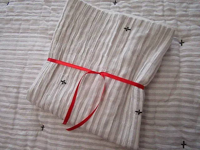 Hearth & Hand With Magnolia 2 Full/Queen Pillow Shams Cotton Beige/Ivory Striped