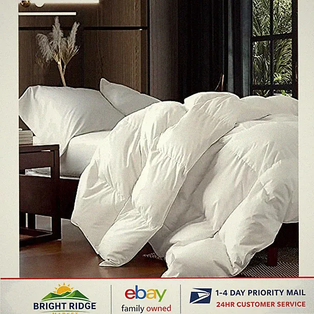 Modern Queen Duvet Insert with Goose Down Fiber for -Round Comfort