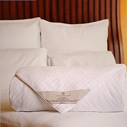 Silk Comforter for Spring/Summer/Fall, 100% Long-Strand Silk Filling, Natural